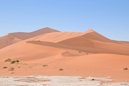 Smooth dunes on the walk to Deadisvlei, Namibia.